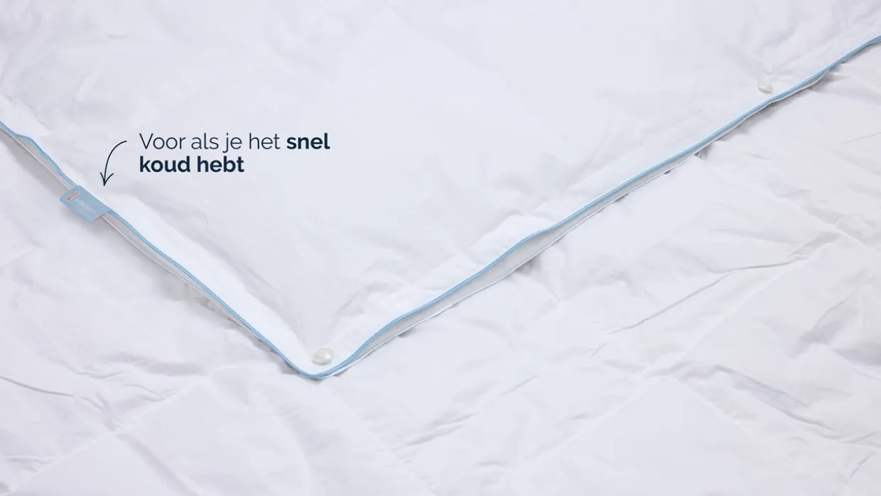 B Bright 4 seizoenen dekbed 60% dons