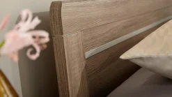 Bed Bienne Tradi uitrijdbaar