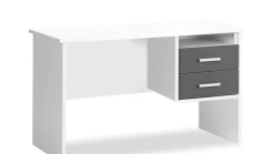 Bureau Jesse