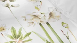 Dekbedovertrek Amaryllis